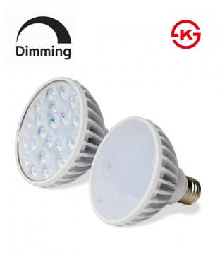 LED PAR30 15W 집중형/확산형 [조광형]